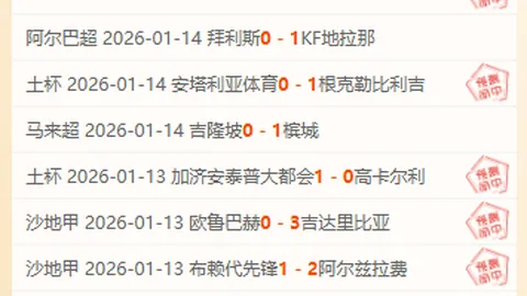 马丁获托雷盛赞：才华堪比马尔蒂尼